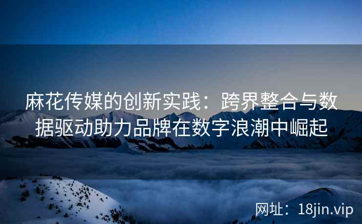 麻花传媒的创新实践：跨界整合与数据驱动助力品牌在数字浪潮中崛起  第1张