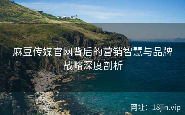 麻豆传媒官网背后的营销智慧与品牌战略深度剖析